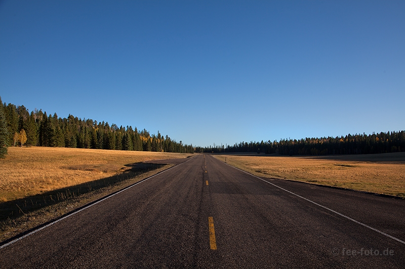 Auf dem Weg zum Grand Canyon